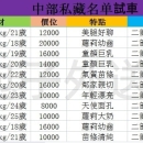 中部私藏妹試車名單 ⭐試車時間:12/9-12/15截止